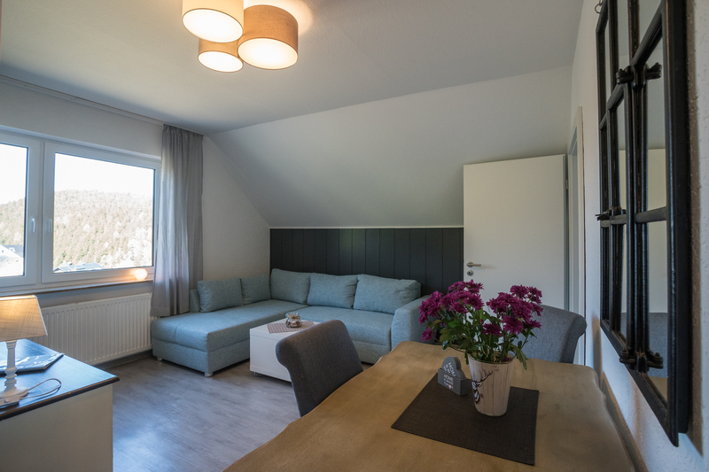 Apartment Comfort M - Wohnbereich