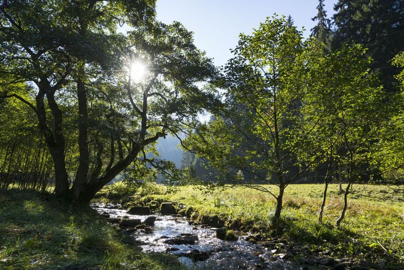 Ittebach im Stryktal in Willingen