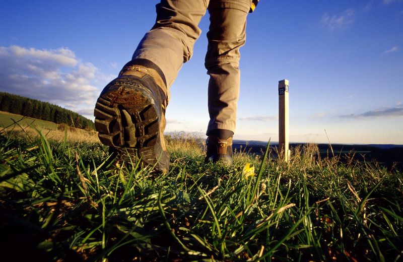 Wanderschuhe auf einer Wanderung