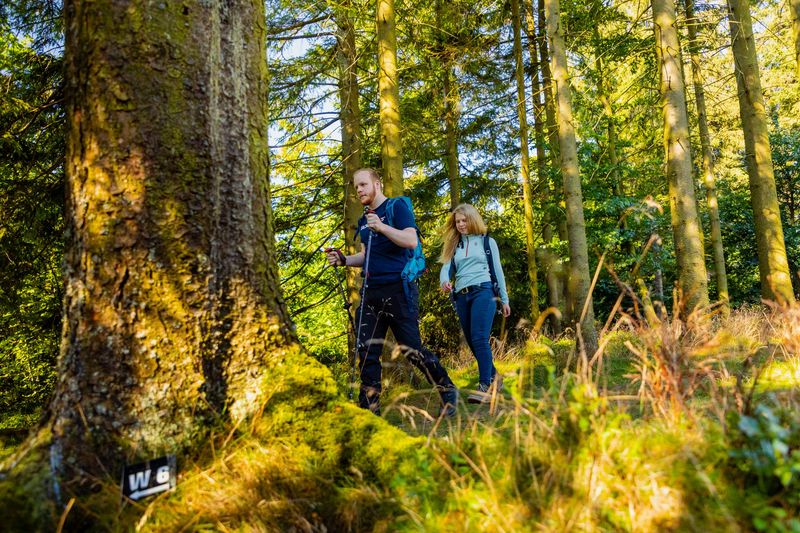 Wanderer am Wanderweg ©Tourist-Information Willingen - David Heise